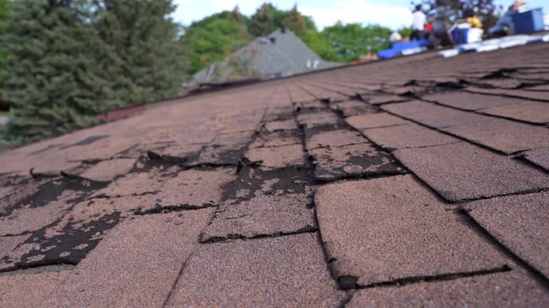 Best Flat Roofing  in USA